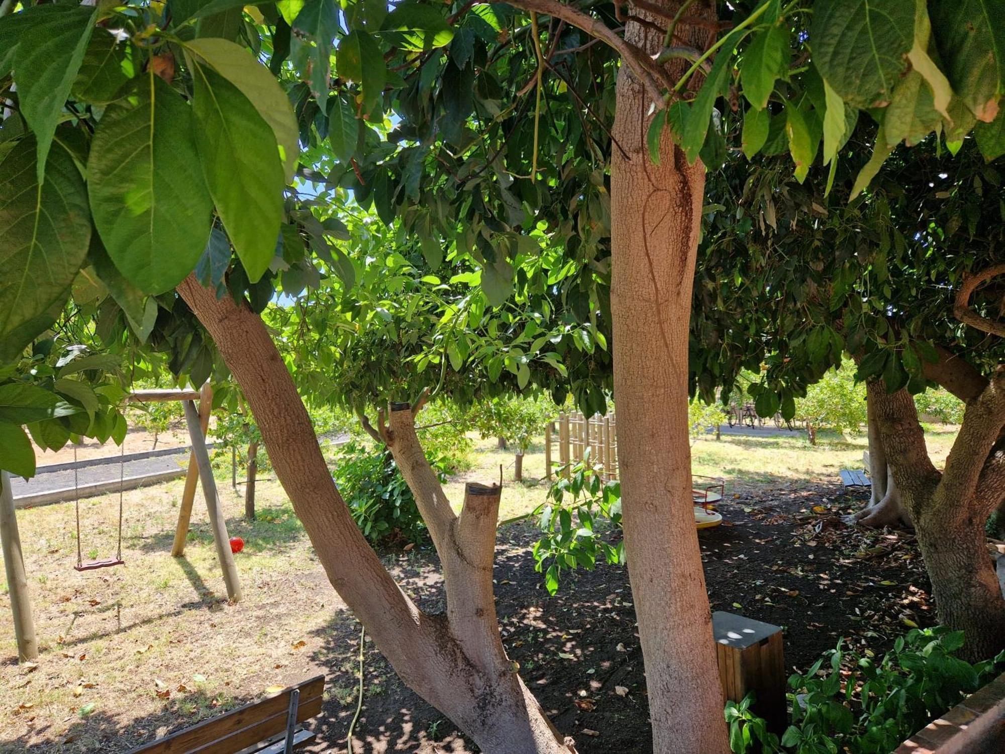 הוילה ריפוסטו Lumia מראה חיצוני תמונה